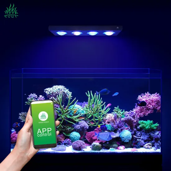 LED Aquarium Lights for Marine Coral and Reef Tanks