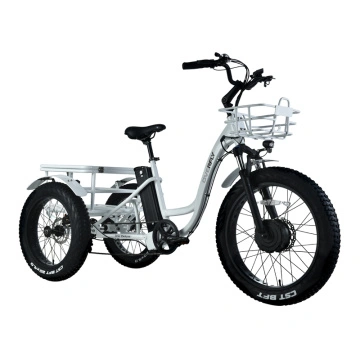 Fábrica de proveedores de fabricantes de triciclos eléctricos de carga de  China