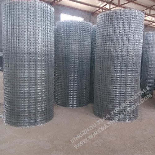 2'' x 2'' Galvanized Welded Wire Mesh