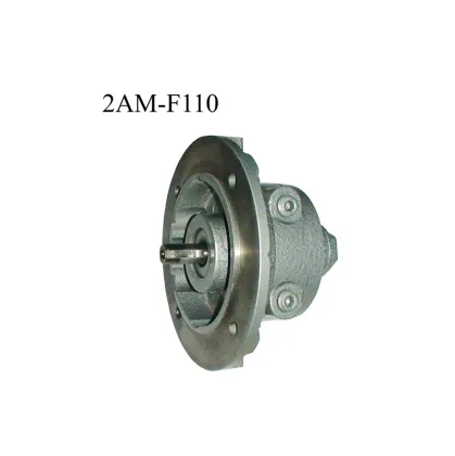 Gast Air Operate Motor 2AM -0.93HP Vane Pneumatic Air Motor with Gear Reducers