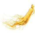 Extrait de ginseng, ginsenosides, extrait de racine du ginseng Panax