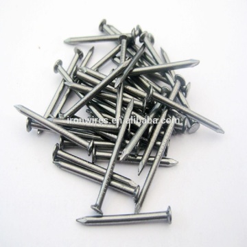 Bright and polished common wood nails