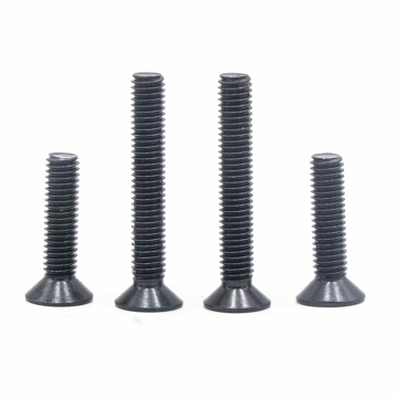 Factory Price 304 SS Thin Big Flat Head Screws M2 M2.5 M3 M4