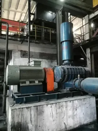 Precision-Crafted Roots Blowers for Peak Performance