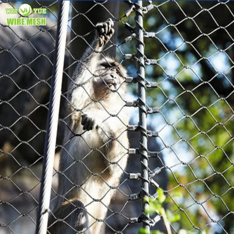 Stainless Steel Wire Rope Mesh for Sale