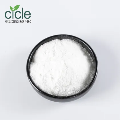 L-Proline monomeric amino acids