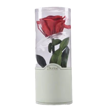 30cm Single-Stem Preserved Rose