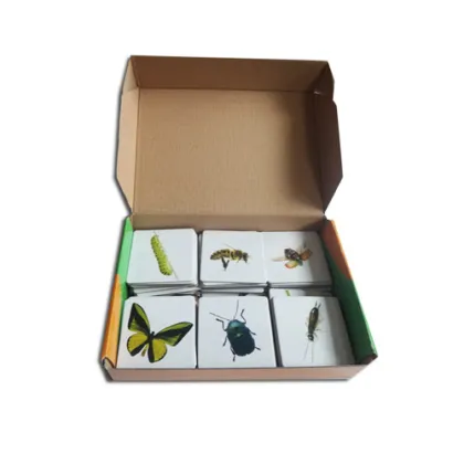 Cardboard Flash Match Cards Game