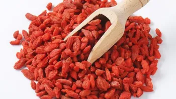 High Standard Goji Berry/Non GMO Goji Berry