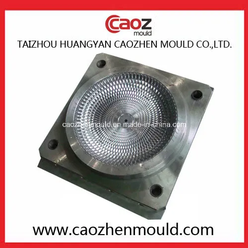 Plastic Injection Fruit Plate/Dish Mold in China