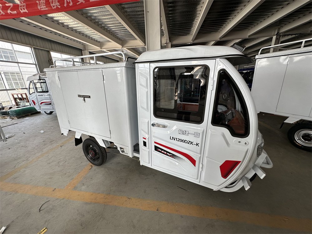 Courier cargo three-wheeled electric vehicle