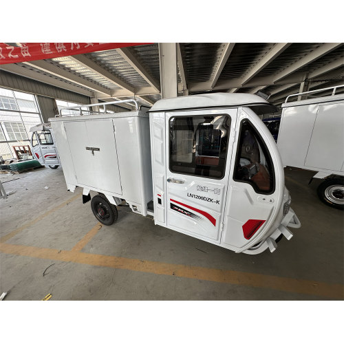 Courier cargo three-wheeled electric vehicle