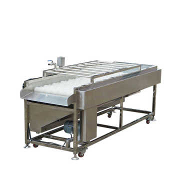 Vegetable Fruits Spiral Brush Roller Washer Machine