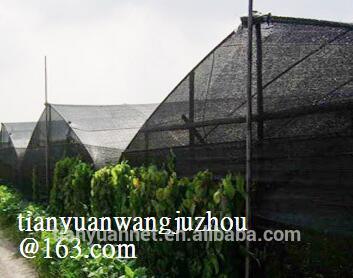 greenhouse sun shade netting/greenhouse sun shade netting/sun shade cloth/HDPE garden green sun shade net