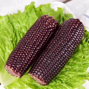 ข้าวโพดไมโครเวฟบนซังเชย
