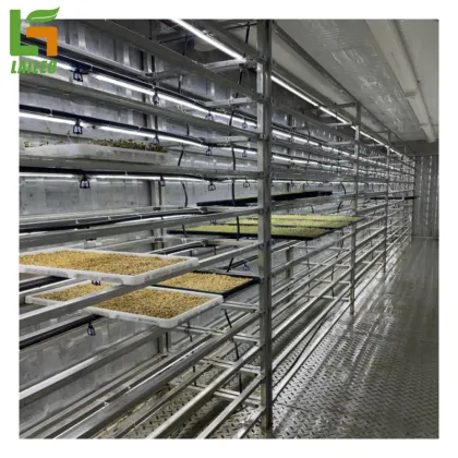 40ft Container Farm Greenhouse: Smart Farming for Grass