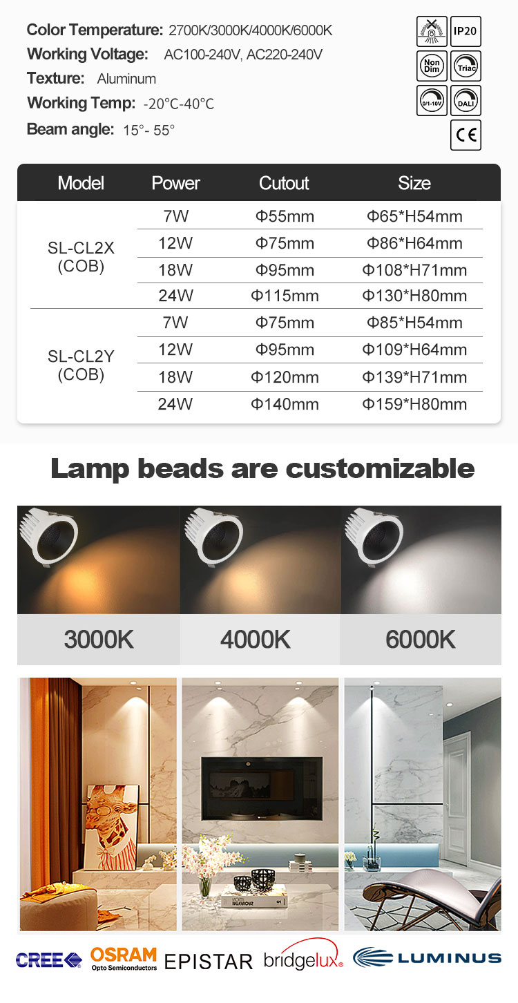 Adjustable Angle Downlight