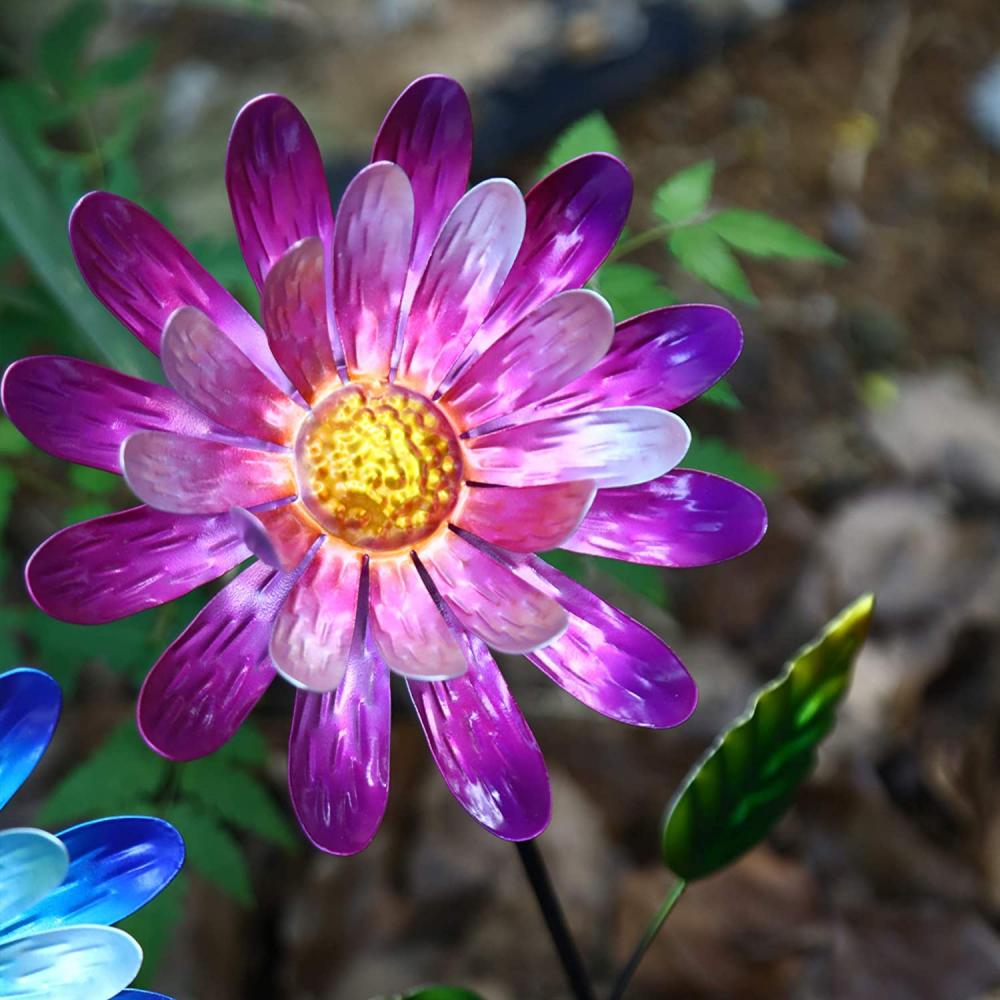 Jardin floral en plein air