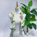 /msite/products/detail/productid/63804901/id/1519436.html