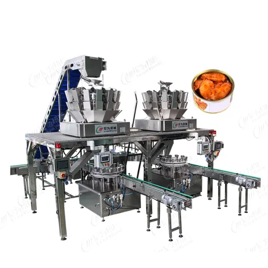 Leadworld Customizable Food Processing Automatic Machine