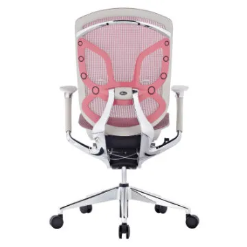 Ergonomic Chair