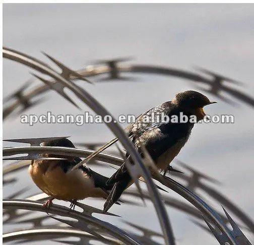 (Security software)Razor Barbed Wire Mesh