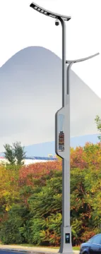 Smart Outdoor Integrated All-in-One Light