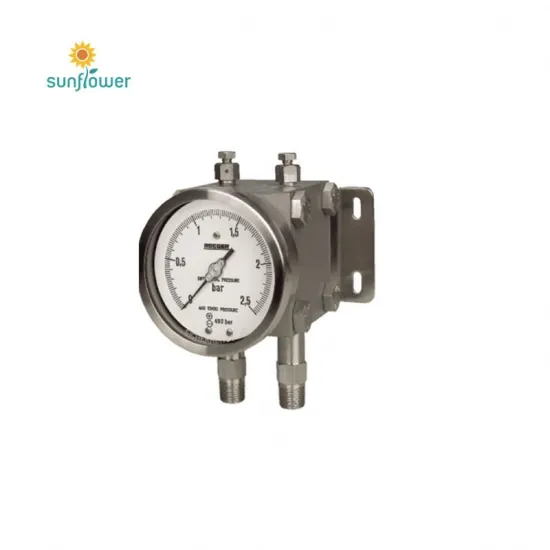 Precision Instruments: Exploring Stainless Steel Double-Point Differential Pressure Gauges