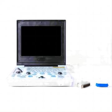 Equipamento de ultrassom de laptop para doenças renais de poodle