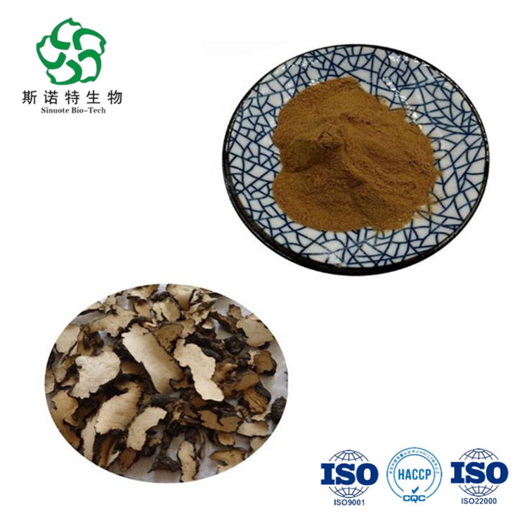 Hot Selling Polyporus Umbellatus Mushroom Extract Powder