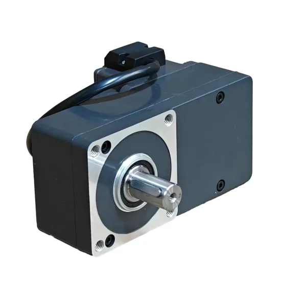 Custom Brushless DC BLDC Electric Gate Motors for 24V, 48V, and 60V