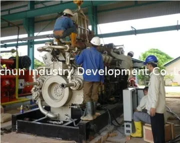1000kw Natural Gas Powered Generators, Forced Water Cooling Natural Gas Genset