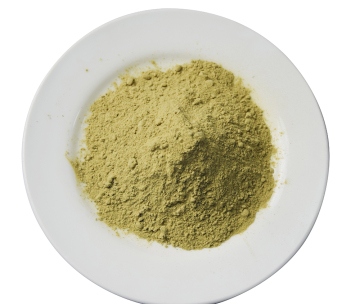 Natural Green Kelp Algae Sea Extract Powder