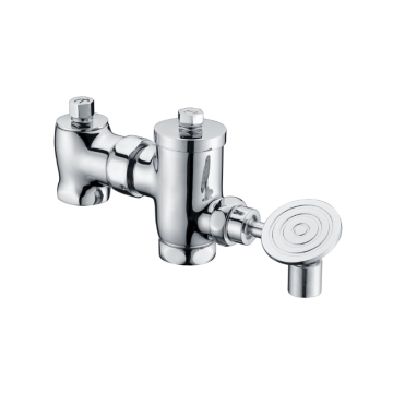 Hot Sale Time-delay Valve - Chrome Plated Brass Pedal Flushing Valve for Squatting Pan