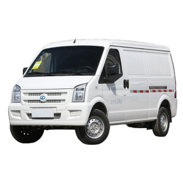 Ruichi New Energy Vehicle Ec35