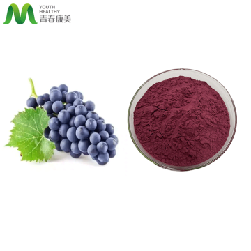 Hot Sell Dry Grape Juice Powder