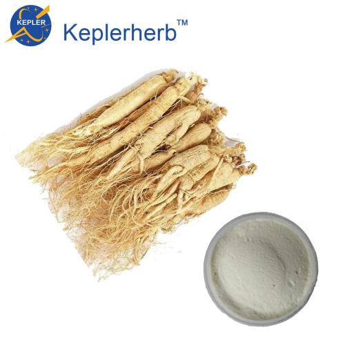 80% di estratto di Ginseng Panax