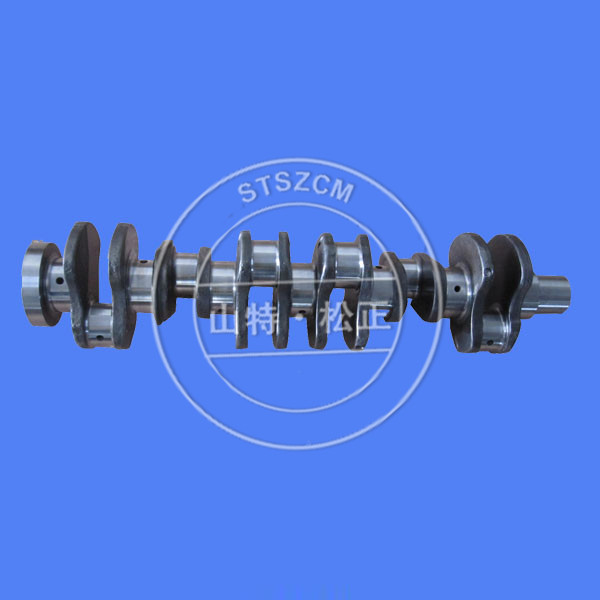 CRANKSHAFT ASS'Y 6217-31-1010 for KOMATSU ENGINE SAA6D140E-3J-1