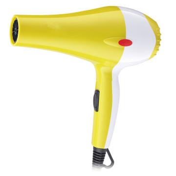 Best Salon Hair Blow Dryer AC Hair Dryers