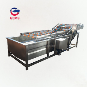 Plum Washing Cleaning Machine Plum Washer Machine