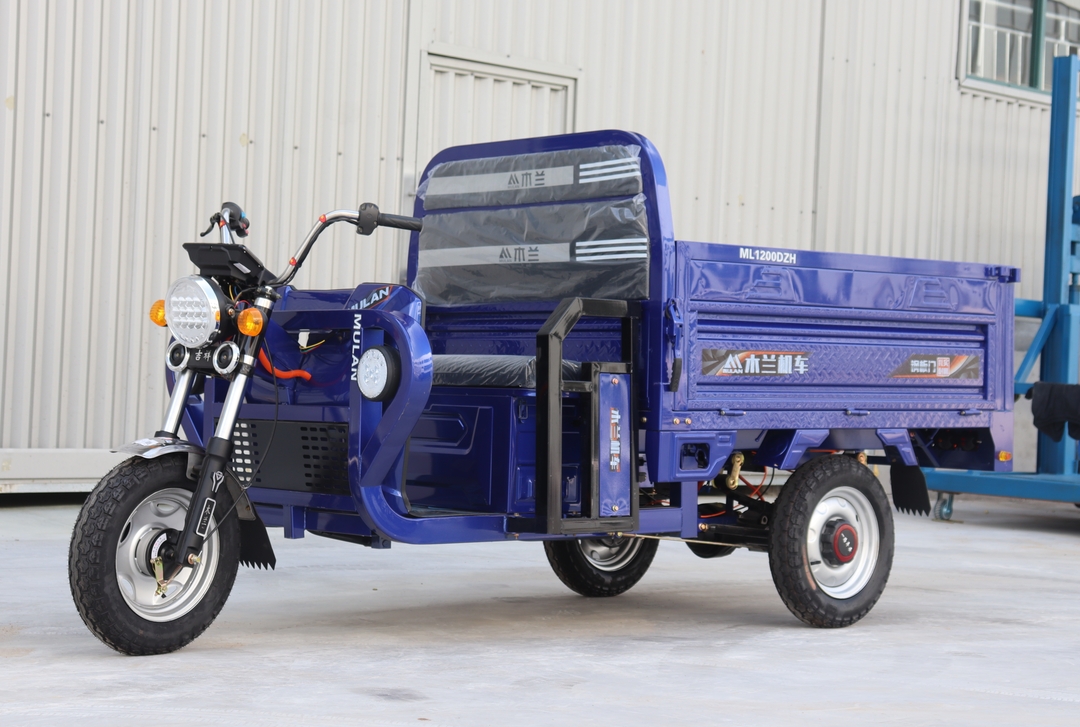 Cargo Electric Tricycle