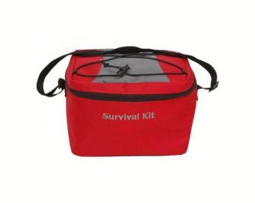 electric cooler bag with custom logo,OEM orders are welcome