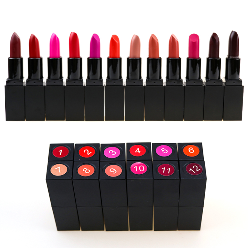 new Moisture High Pigment Lipstick