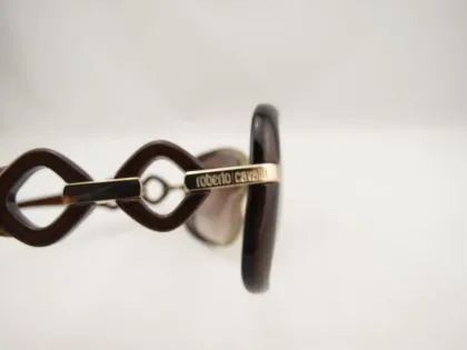 Erica 518s 47f Brown Gradient Transprent Coffee Acetate Frame Light Brown Resin Lens Roberto Cavalli Sun Glasses