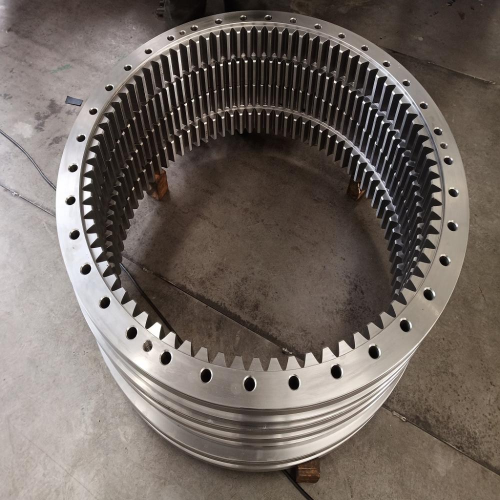 Ex300 Slewing Bearing Parts 2 Jpg