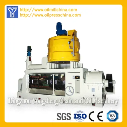 Hemp oil press machine