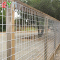 Fence Fence Horse Fencing Bovine recinzione in fattoria