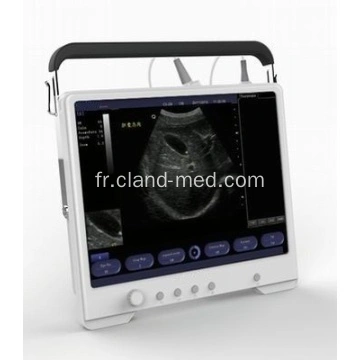 Ordinateur de poche portable de diagnostic vétérinaire de l'équipement de  fabrication du système du scanner à ultrasons numérique - Chine  L'échographie, Full-Digital ultrasons à usage vétérinaire