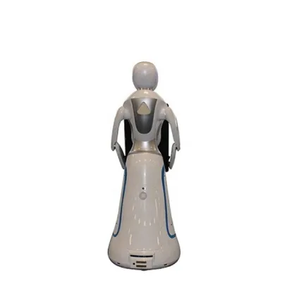 Smart AI Robots for Bank