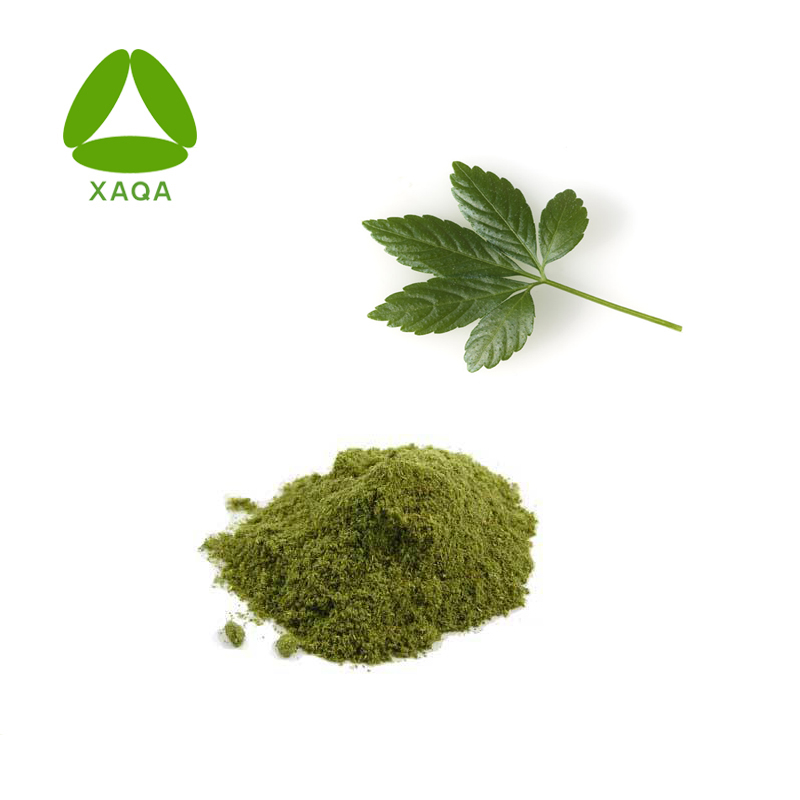 Herbal Powder Gynostemma Extract Gypenoside 98% Free Sample